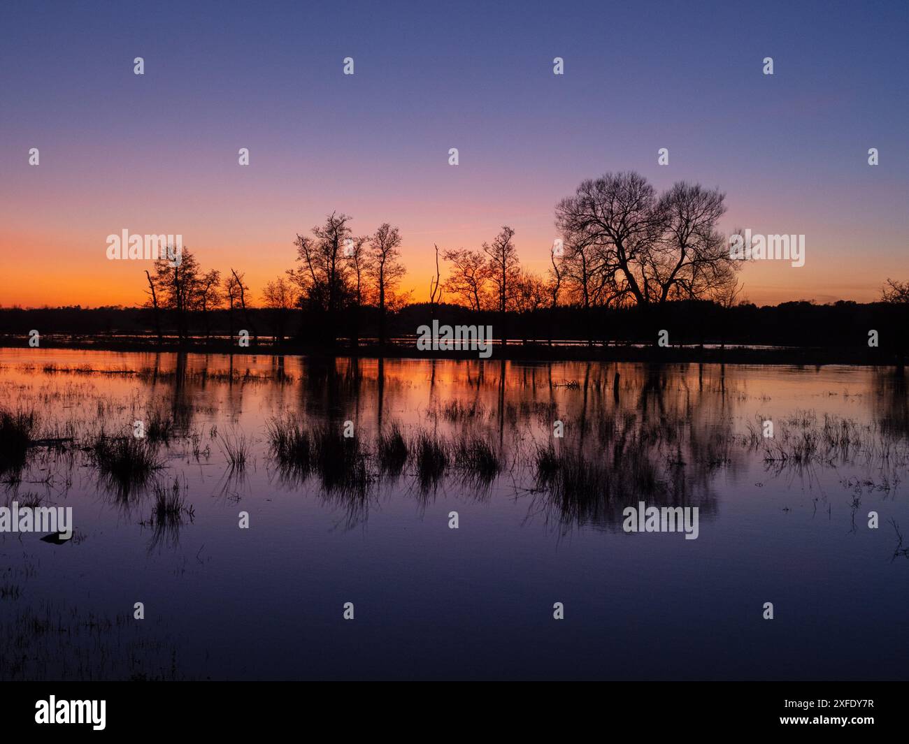 Fluss Avon bei Sonnenuntergang, Ibsley, bei Ringwood, Hampshire, England, Großbritannien, Januar 2020 Stockfoto