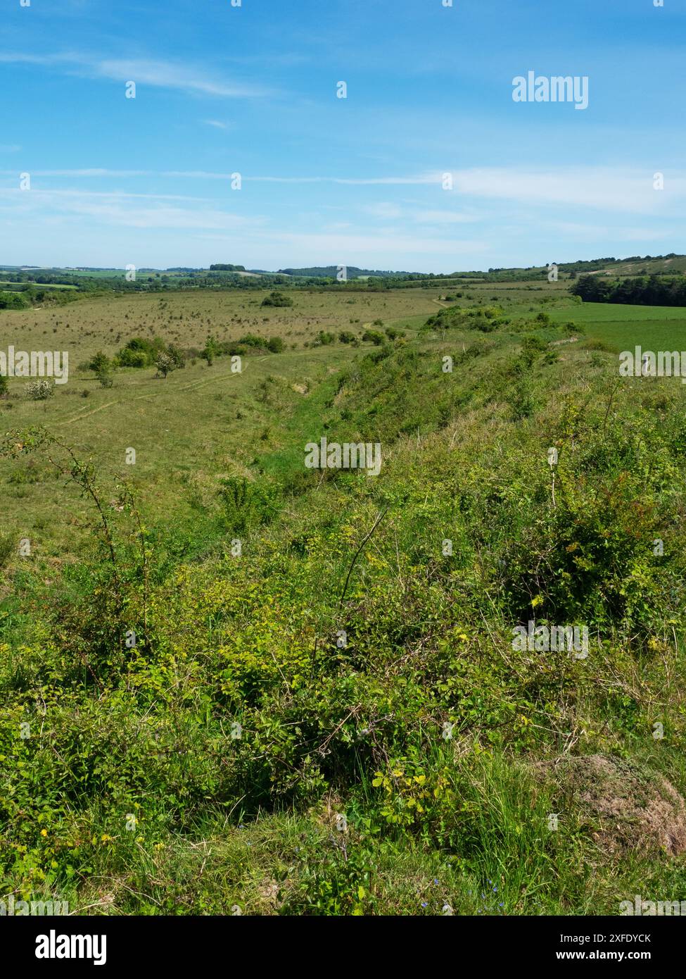 Kreide und Buschwerk im Martin Down National Nature Reserve, Hampshire, England, Großbritannien, Mai 2020 Stockfoto