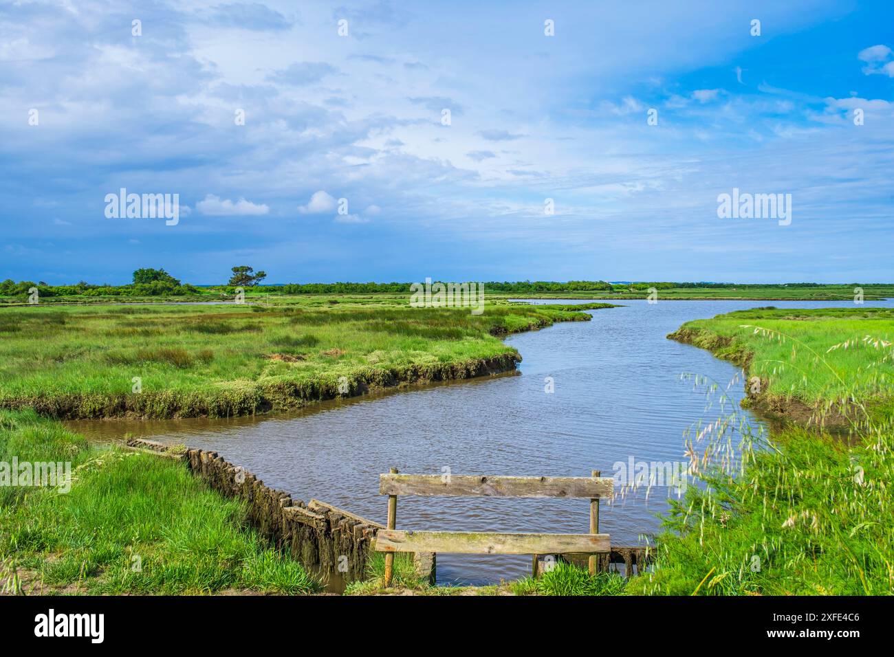 Frankreich, Gironde, Lanton, Tour du Bassin d'Arcachon, Naturschutzgebiet Domaine de Certes-et-Graveyron Stockfoto