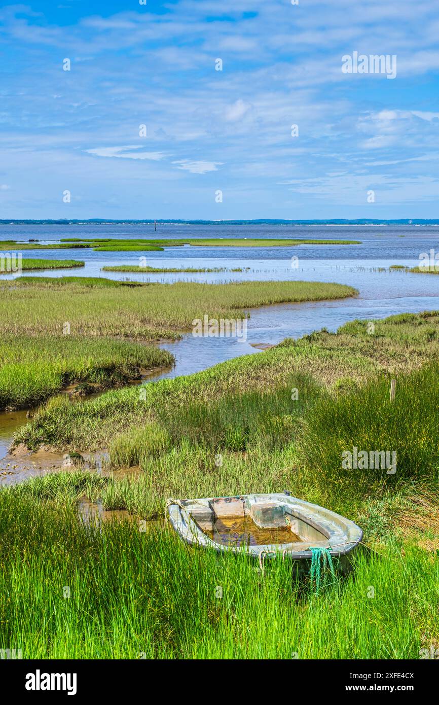 Frankreich, Gironde, Audenge, Tour du Bassin d'Arcachon, Naturschutzgebiet Domaine de Certes-et-Graveyron Stockfoto