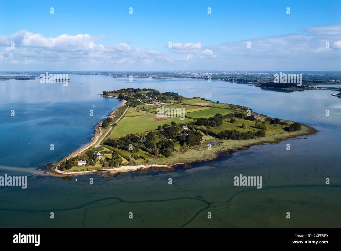 Frankreich, Morbihan, Golfe du Morbihan (Golf von Morbihan), Saint-Armel, Ile Tascon (aus der Vogelperspektive) Stockfoto