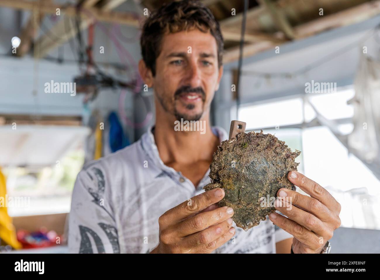 Französisch-Polynesien, Gesellschaftsinseln, Tahaa, Champon-Perlenfarm Stockfoto