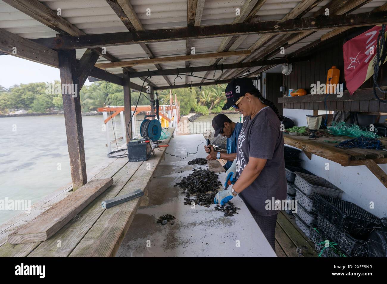 Französisch-Polynesien, Gesellschaftsinseln, Tahaa, Champon-Perlenfarm Stockfoto