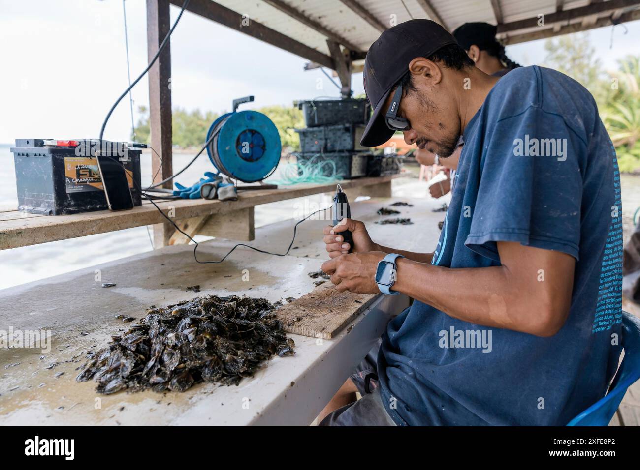 Französisch-Polynesien, Gesellschaftsinseln, Tahaa, Champon-Perlenfarm Stockfoto