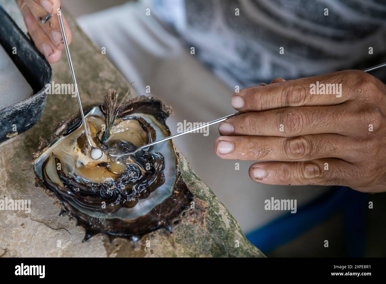Französisch-Polynesien, Gesellschaftsinseln, Tahaa, Champon-Perlenfarm Stockfoto