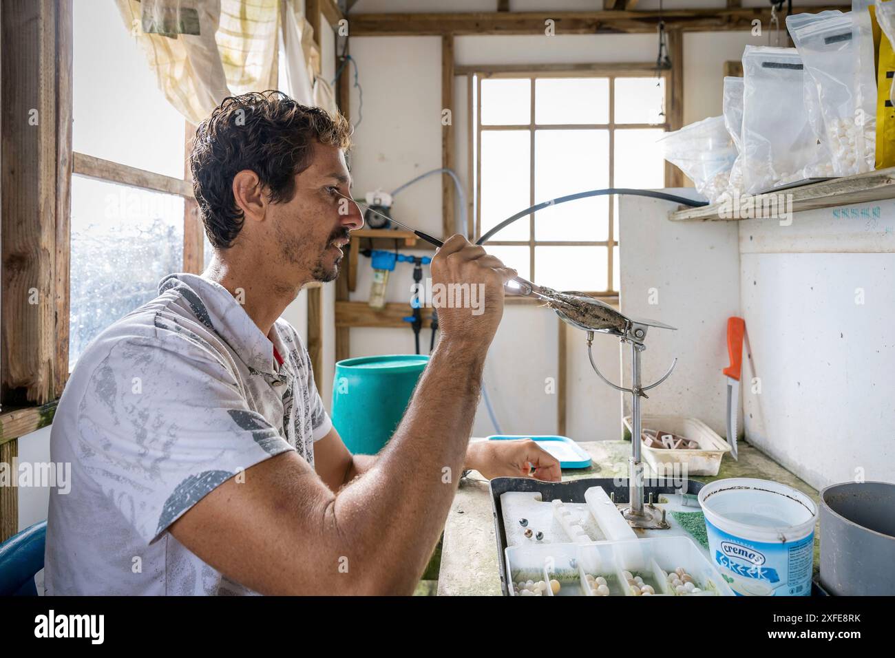 Französisch-Polynesien, Gesellschaftsinseln, Tahaa, Champon-Perlenfarm Stockfoto