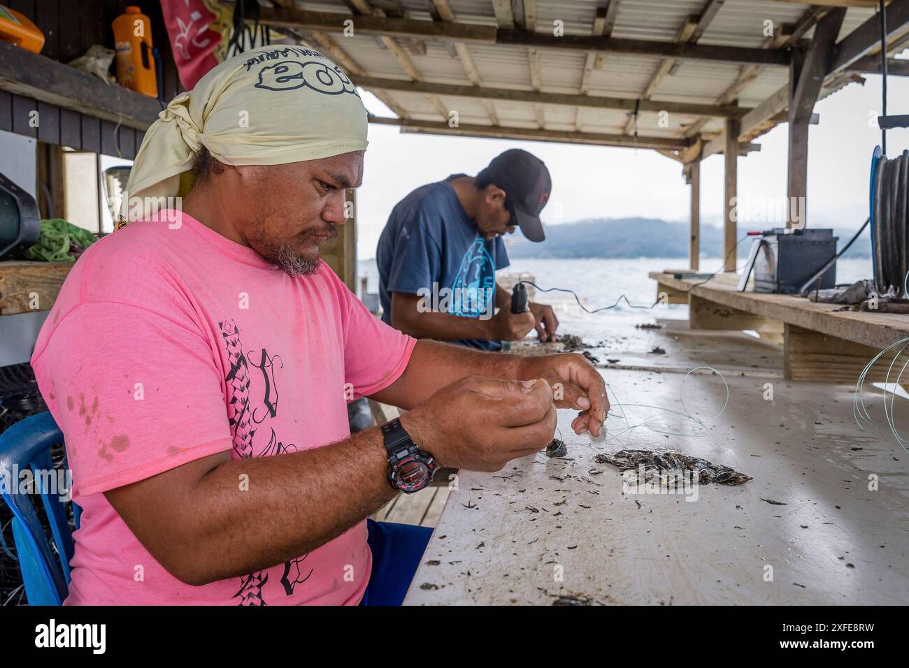 Französisch-Polynesien, Gesellschaftsinseln, Tahaa, Champon-Perlenfarm Stockfoto