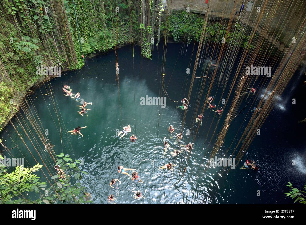 Mexiko, Yucatan-Zustand, Ik Kil Eco-archäologischer Park, Ik Kil Cenote oder blaue Cenote Stockfoto
