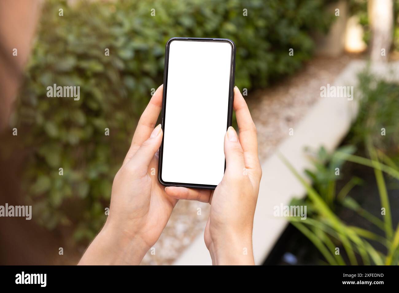 Smartphone mit leerem Bildschirm halten, Person draußen im Garten, Kopierraum Stockfoto