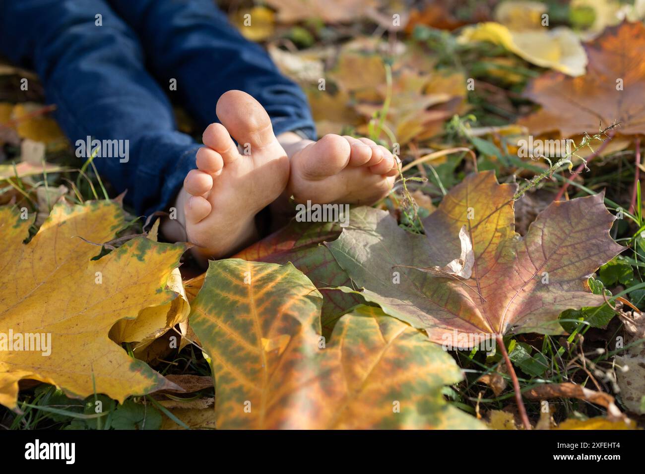Barfuß-Kind sitzt auf dem Boden zwischen gefallenen gelben Herbstblättern im Park. Niedliche Kinderzehen, beleuchtet von Herbstsonne, Freude, positiver Atmosphäre, Hap Stockfoto