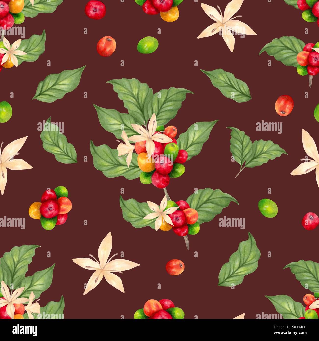 Nahtloses Muster von Kaffeezweigen, Beeren, Blumen. Aroma von Robusta- und Arabica-Sorten. Kaffeetag. Aquarellabbildung. Geeignet für Stockfoto