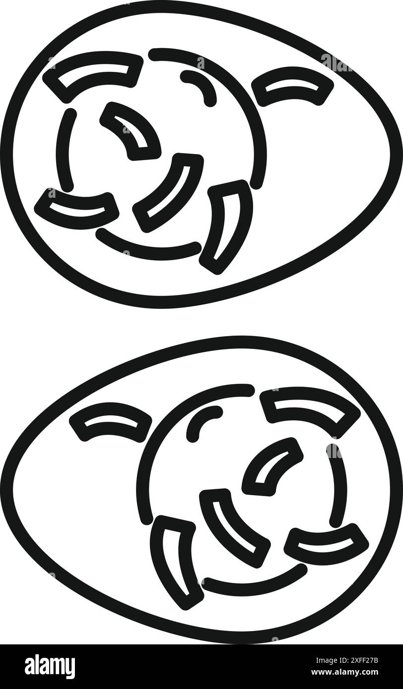 Linienbild zweier menschlicher Eizellen im Düngeprozess Stock Vektor Linienbild zweier menschlicher Eizellen im Düngeprozess Stock Vektor