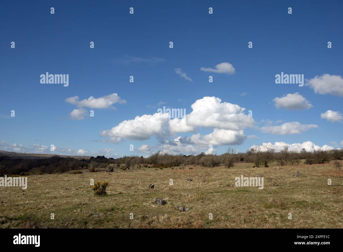 Hutton Roof Crags oberhalb von Burton in Kendal Westmorland und Furness, ehemals Cumbria England Stockfoto