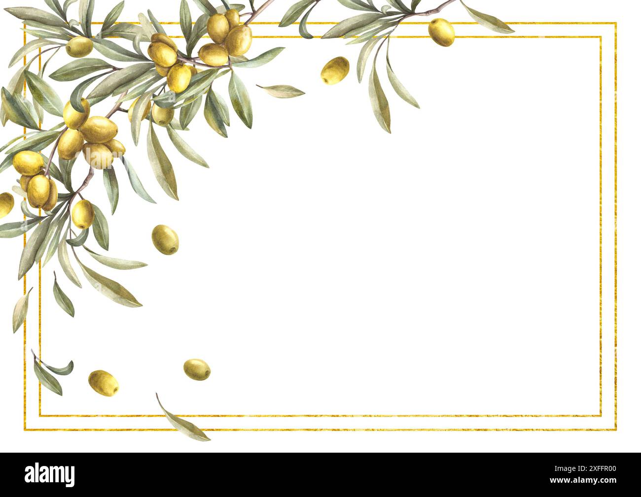 Olivenbaum Zweig mit goldgerahmtem Aquarellzweig mit grünen Blättern und Beeren. Blumenschablone Hand gezeichnet botanische Illustration Banner für Öl Stockfoto