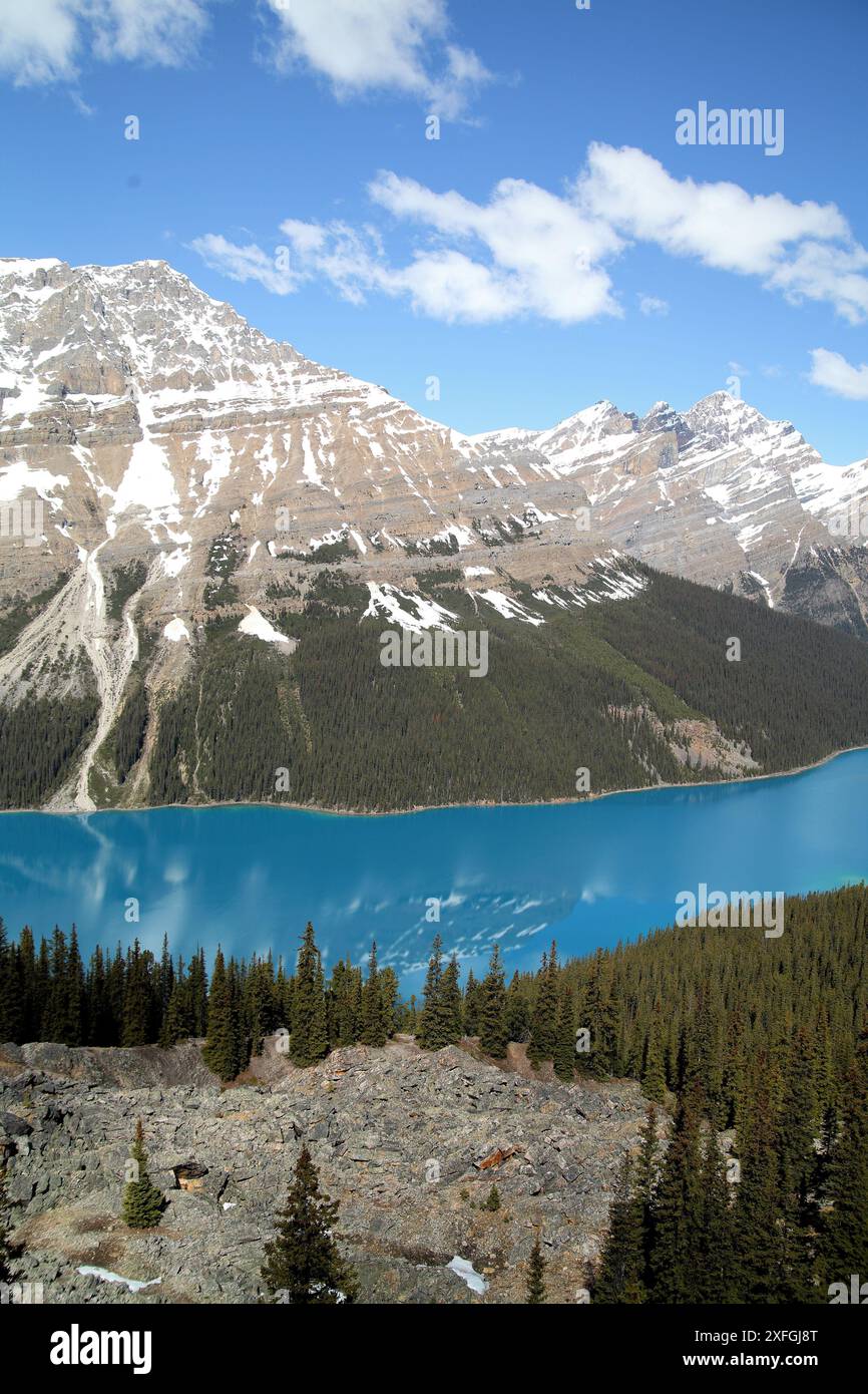 Peyto Lake, British Columbia von der Aussichtsplattform in der Nähe des Highway 93. Stockfoto