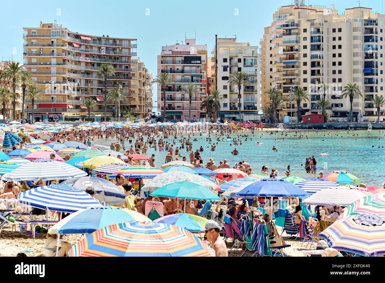 Torrevieja, Spanien - 23. Juni 2024: Viele Leute am Sandstrand Playa del Cura in Torrevieja Resort Stadt, sonniger Sommertag, Konzept des Vaca Stockfoto