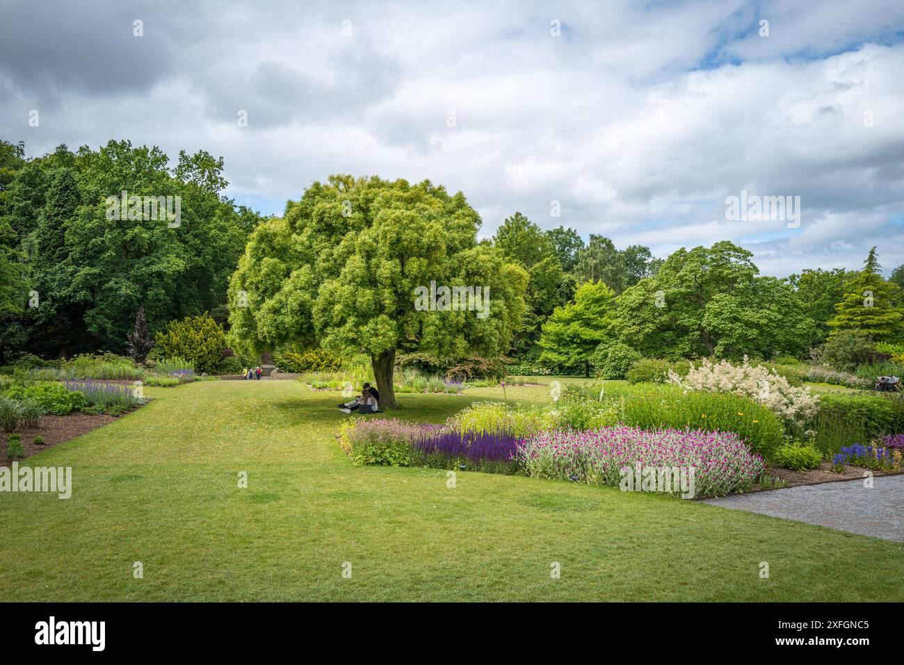RHS Harlow Carr, Harrogate, North Yorkshire. Die Gärten im Sommer. Stockfoto