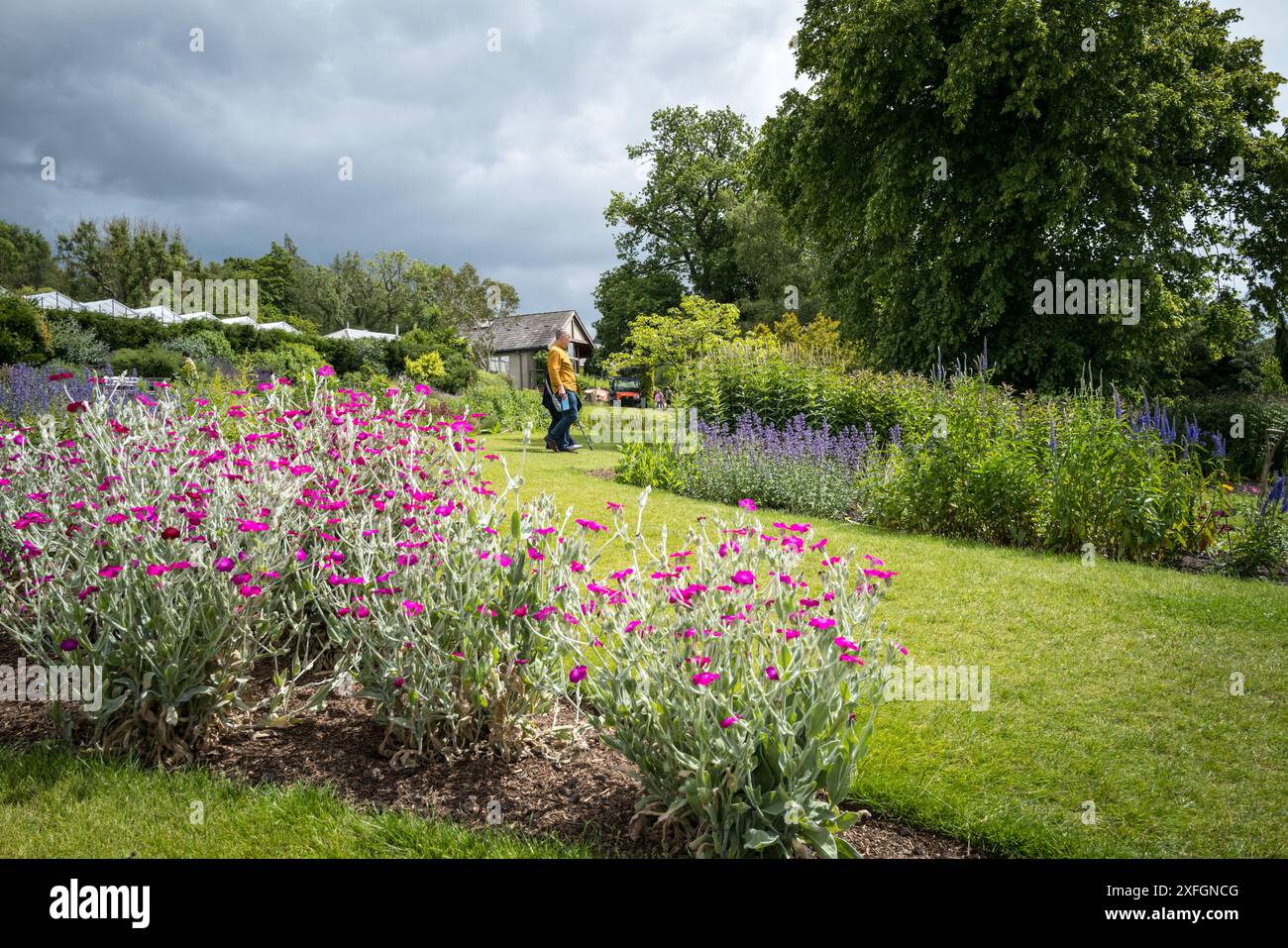 RHS Harlow Carr, Harrogate, North Yorkshire. Besucher, die die Gärten erkunden. Stockfoto