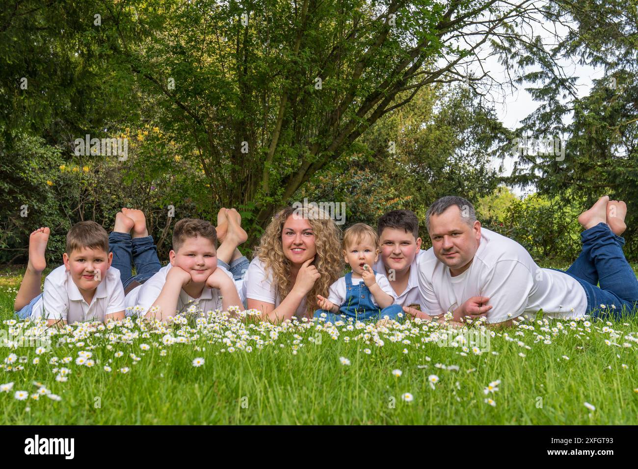 Glückliche große Familie. Mom, Dad und 4 Söhne unterschiedlichen Alters liegen auf dem Gras zwischen den Gänseblümchen. Der jüngste ist 1 Jahr alt Stockfoto