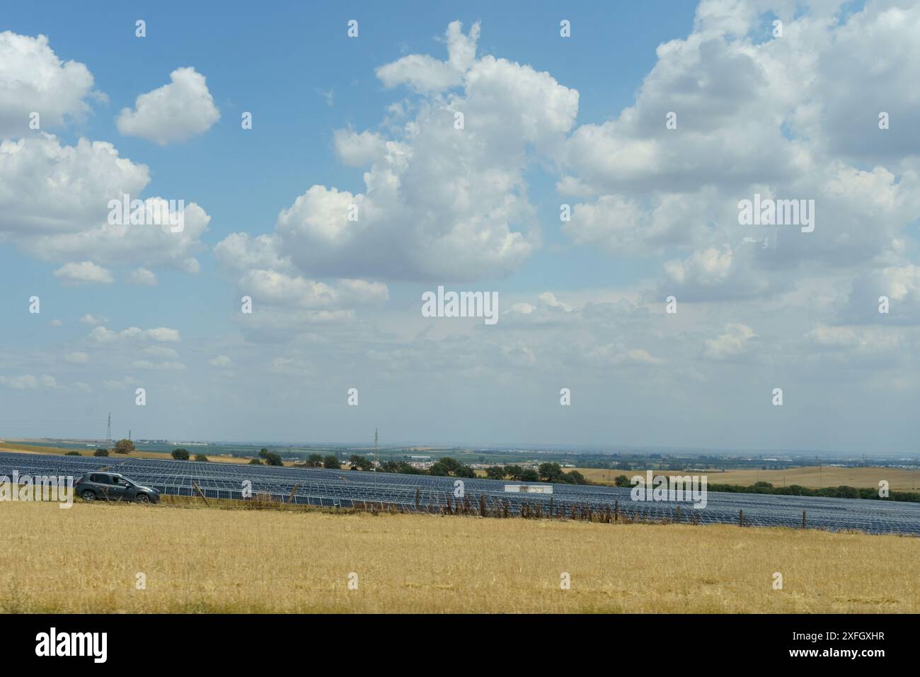 Ein einzelnes Auto fährt auf einer unbefestigten Straße durch ein Feld von Solarpaneelen in einer ländlichen Landschaft unter einem klaren blauen Himmel voller flauschiger weißer Wolken. Stockfoto