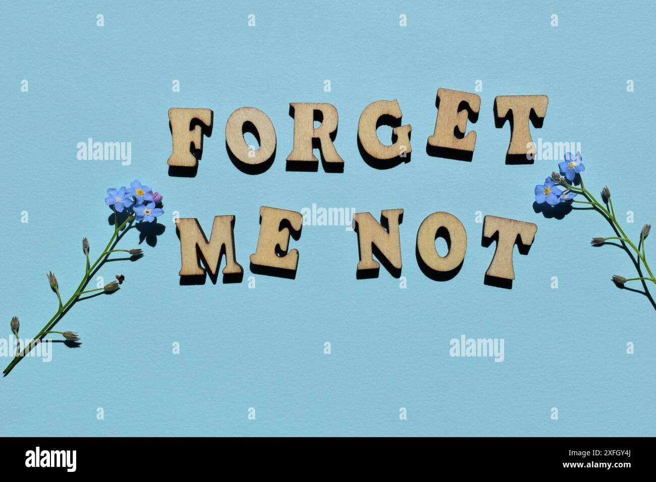 Vergiss mich nicht, Worte in hölzernen Buchstaben und kleinen blauen Blumen, isoliert auf dem Hintergrund Stockfoto