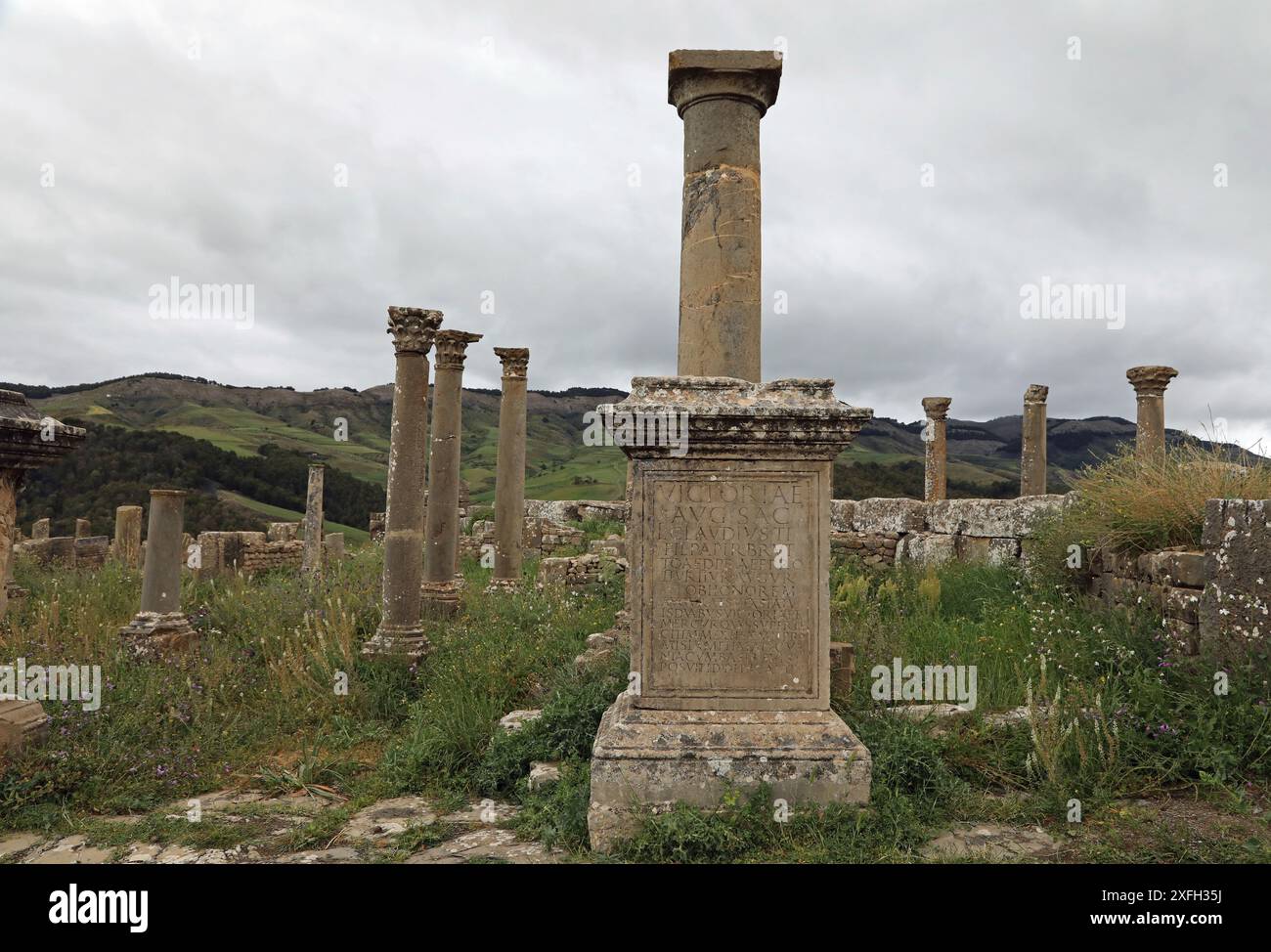Lateinische Inschrift an den römischen Ruinen in Djemila Stockfoto