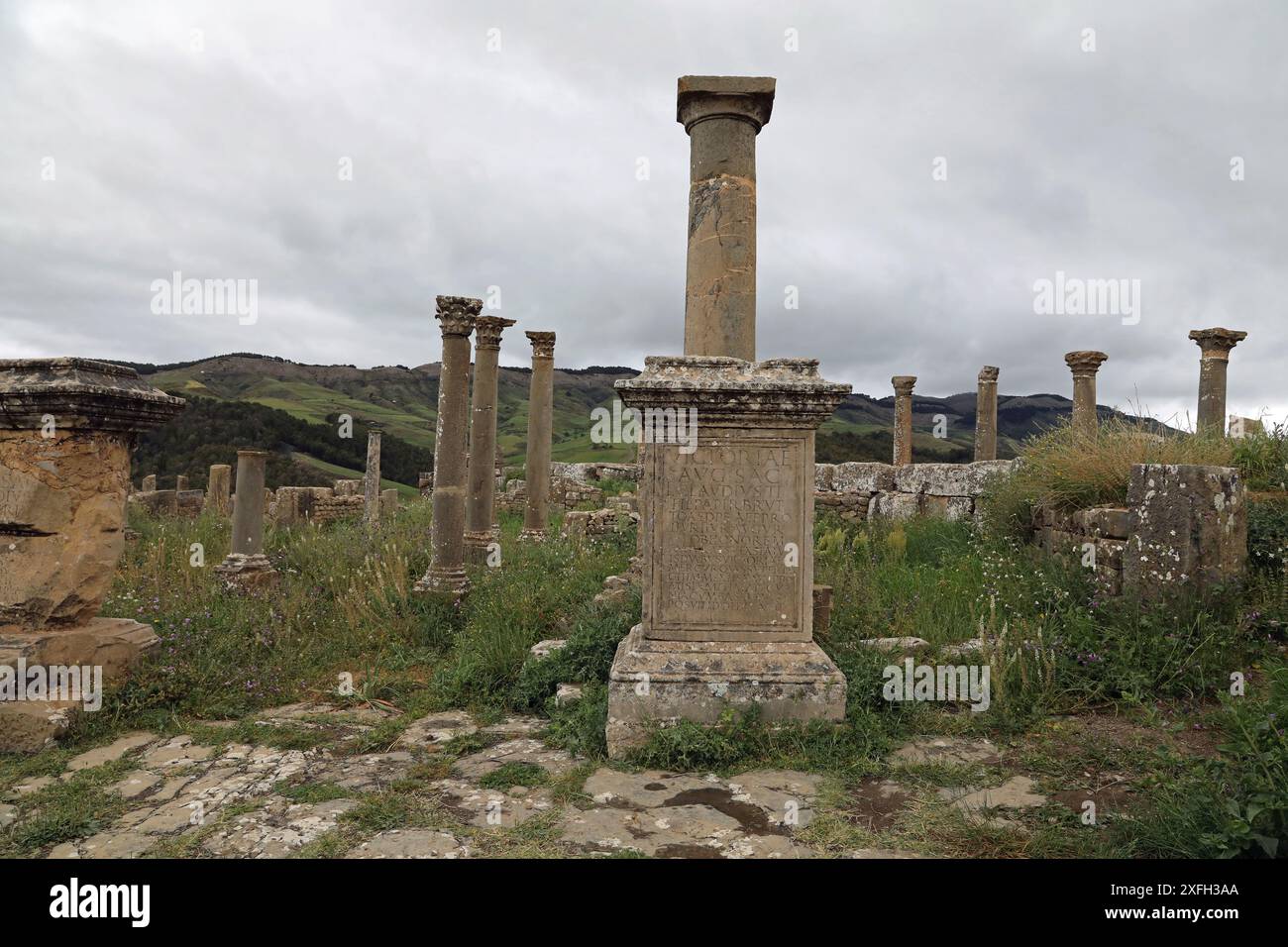 Lateinische Inschrift an den römischen Ruinen in Djemila Stockfoto
