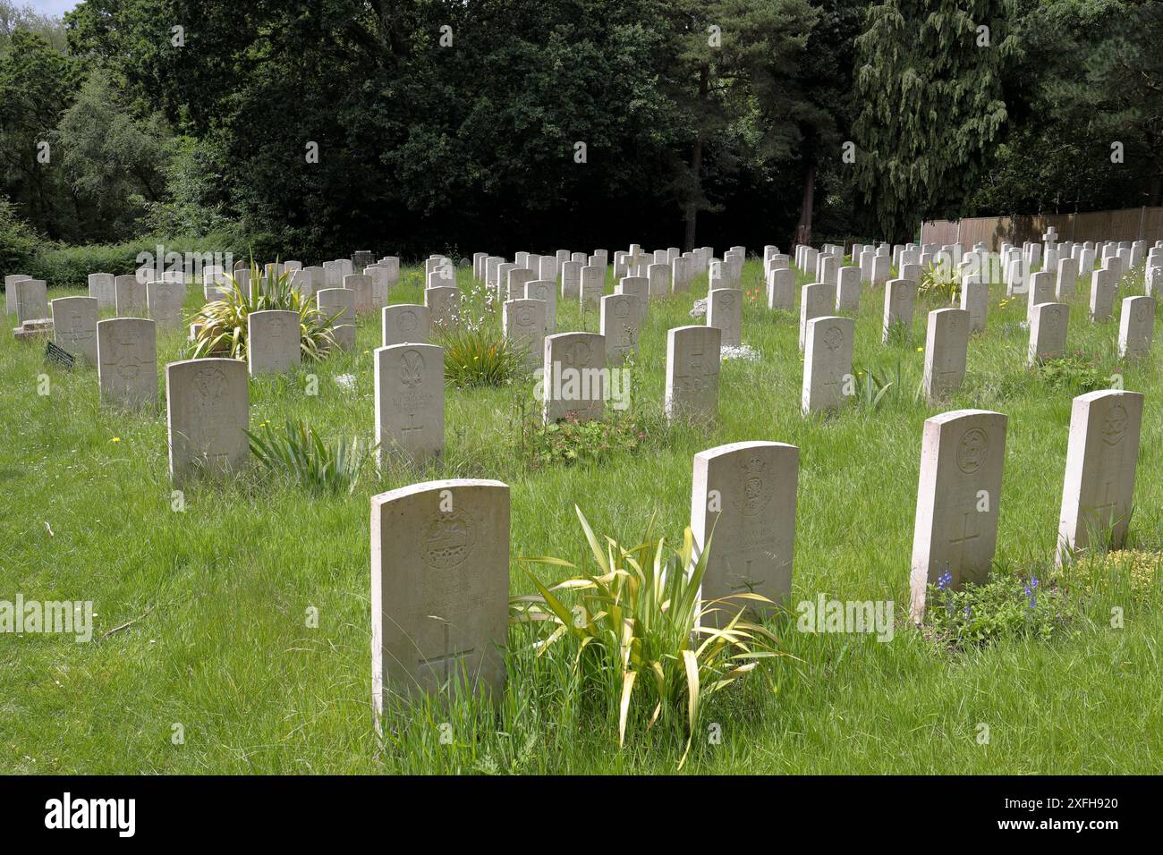 Reihen von Grabsteinen markieren die Gräber auf dem Militärfriedhof im Royal Victoria Country Park, der mit dem ehemaligen Militärkrankenhaus in Verbindung steht. Stockfoto