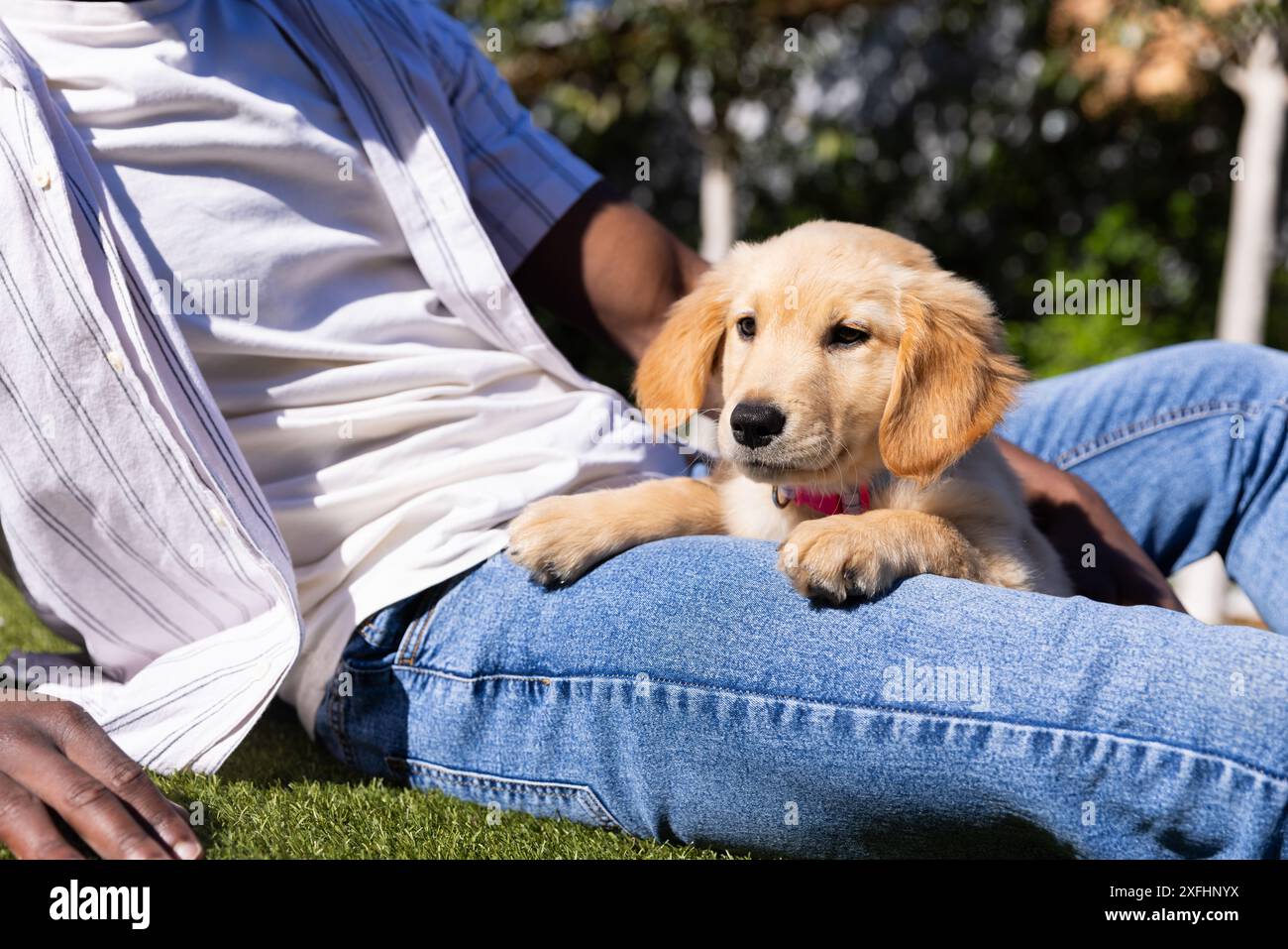 Im Freien entspannen, Person mit goldenem Retriever-Welpen auf dem Schoß sitzen Stockfoto