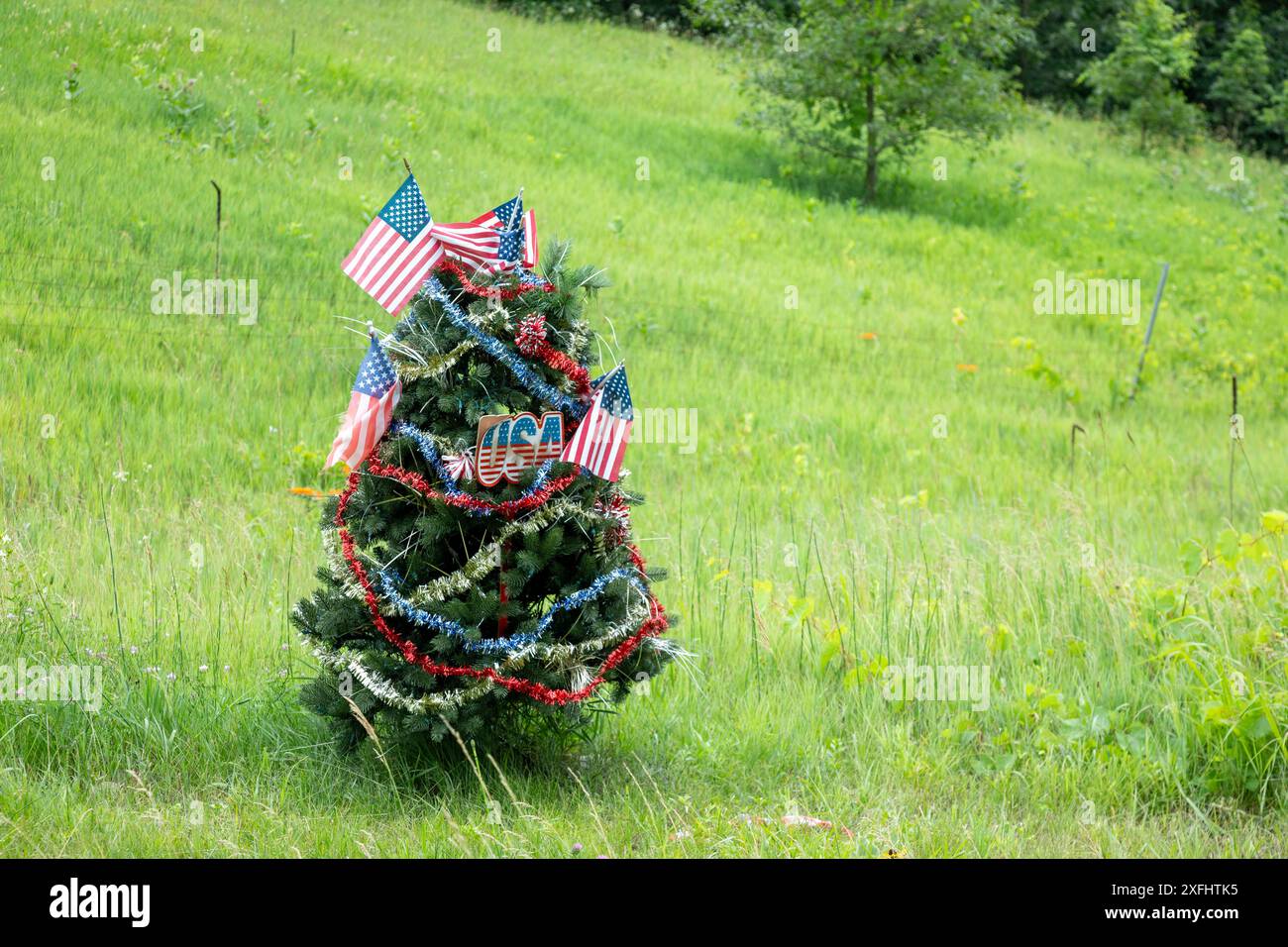 Yankee Springs Twp., Michigan - Eine Kiefer, dekoriert als patriotischer Weihnachtsbaum, im Sommer am Straßenrand in Yankee Springs Recreation Stockfoto