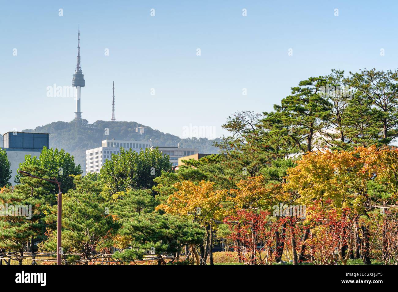 Malerischer farbenfroher Herbstpark in Seoul, Südkorea. Namsan Seoul Tower ist auf blauem Himmel zu sehen. Stockfoto