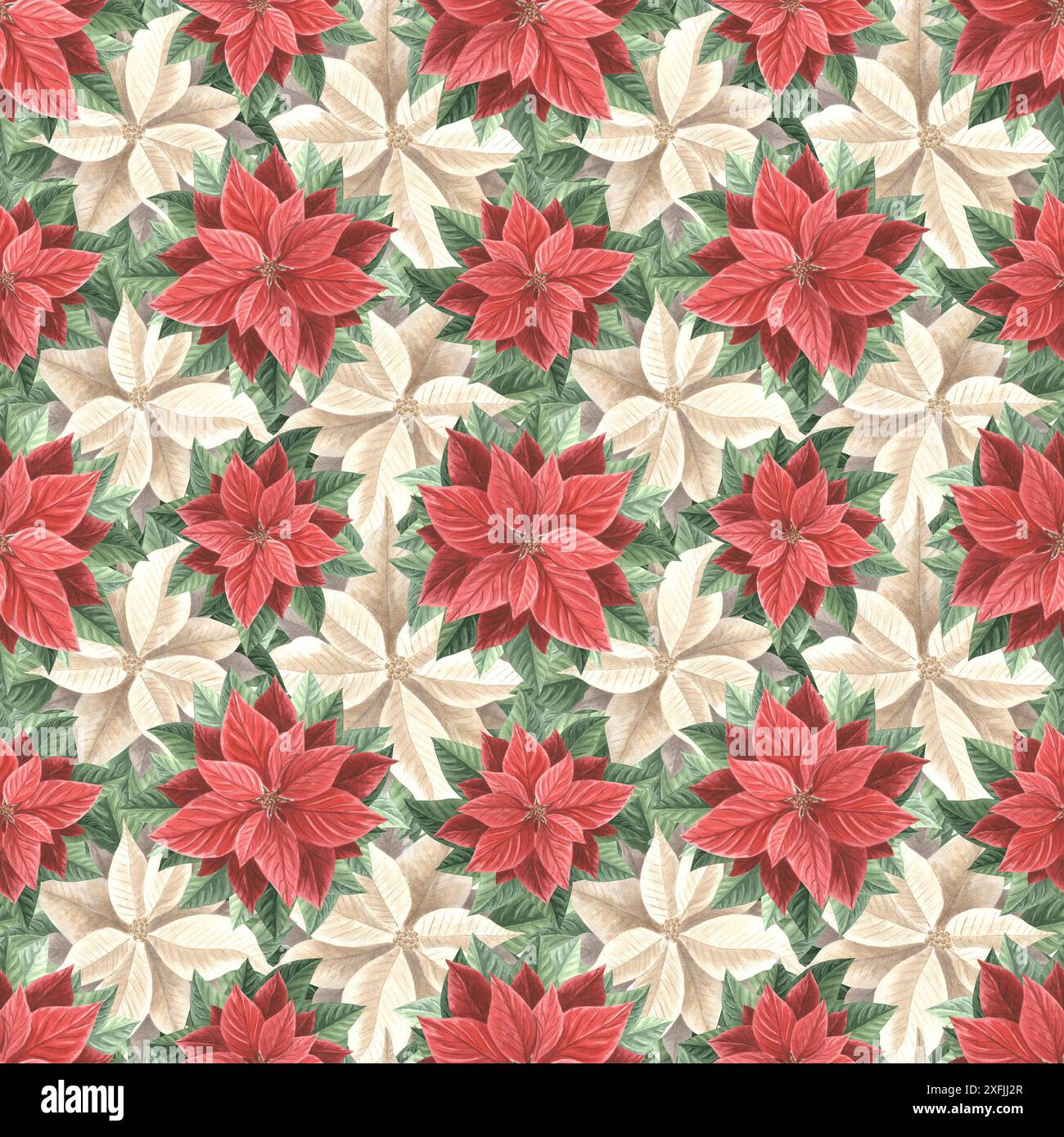 Weihnachtsstern rote und weiße Blüten mit Blättern. Nahtloses Weihnachtsmuster im Vintage-Stil. Handgezeichnete Aquarellillustration traditionelle Pflanzen für den Winter Stockfoto