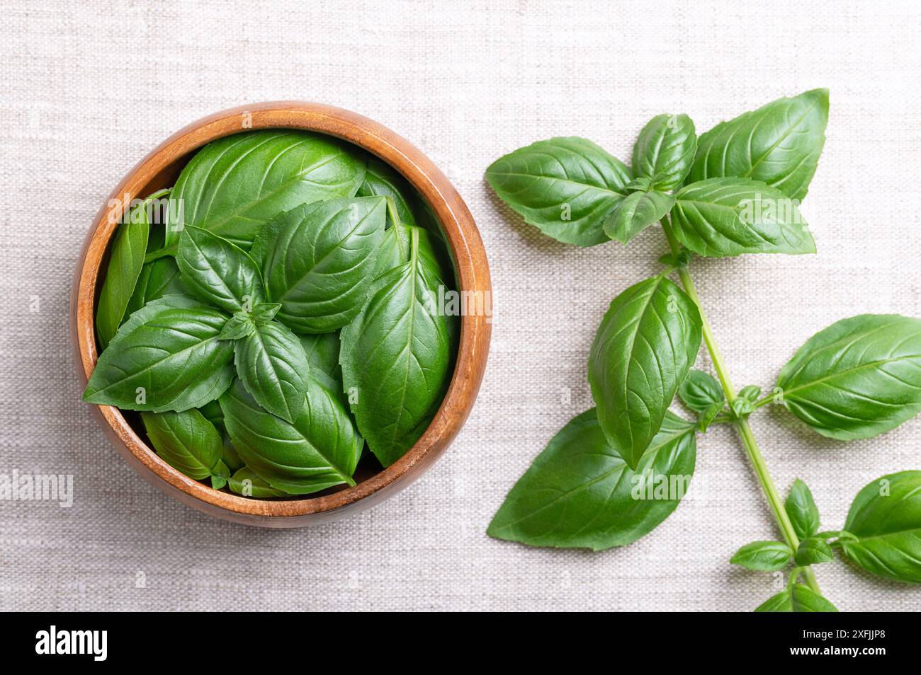 Süße Basilikumblätter in einer Holzschale auf Leinenstoff mit ganzer Ast rechts. Frisches Great oder Genovese Basilikum, Ocimum basilicum. Stockfoto