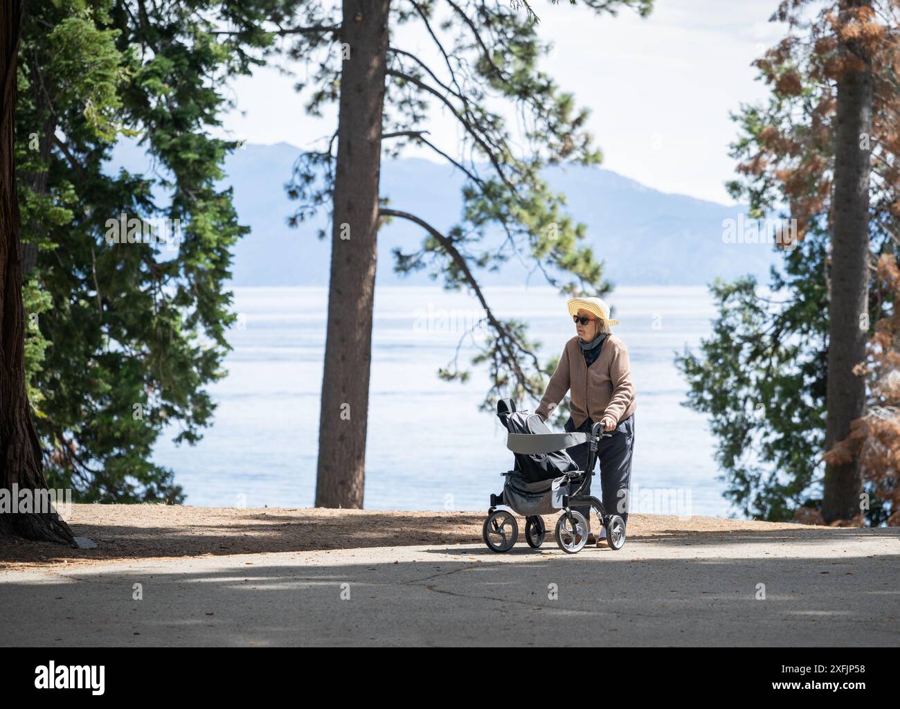 Ältere Frau, die mit einem Gehhilfen läuft. Ed Z’berg Sugar Pine Point State Park. Lake Tahoe. Kalifornien. Stockfoto