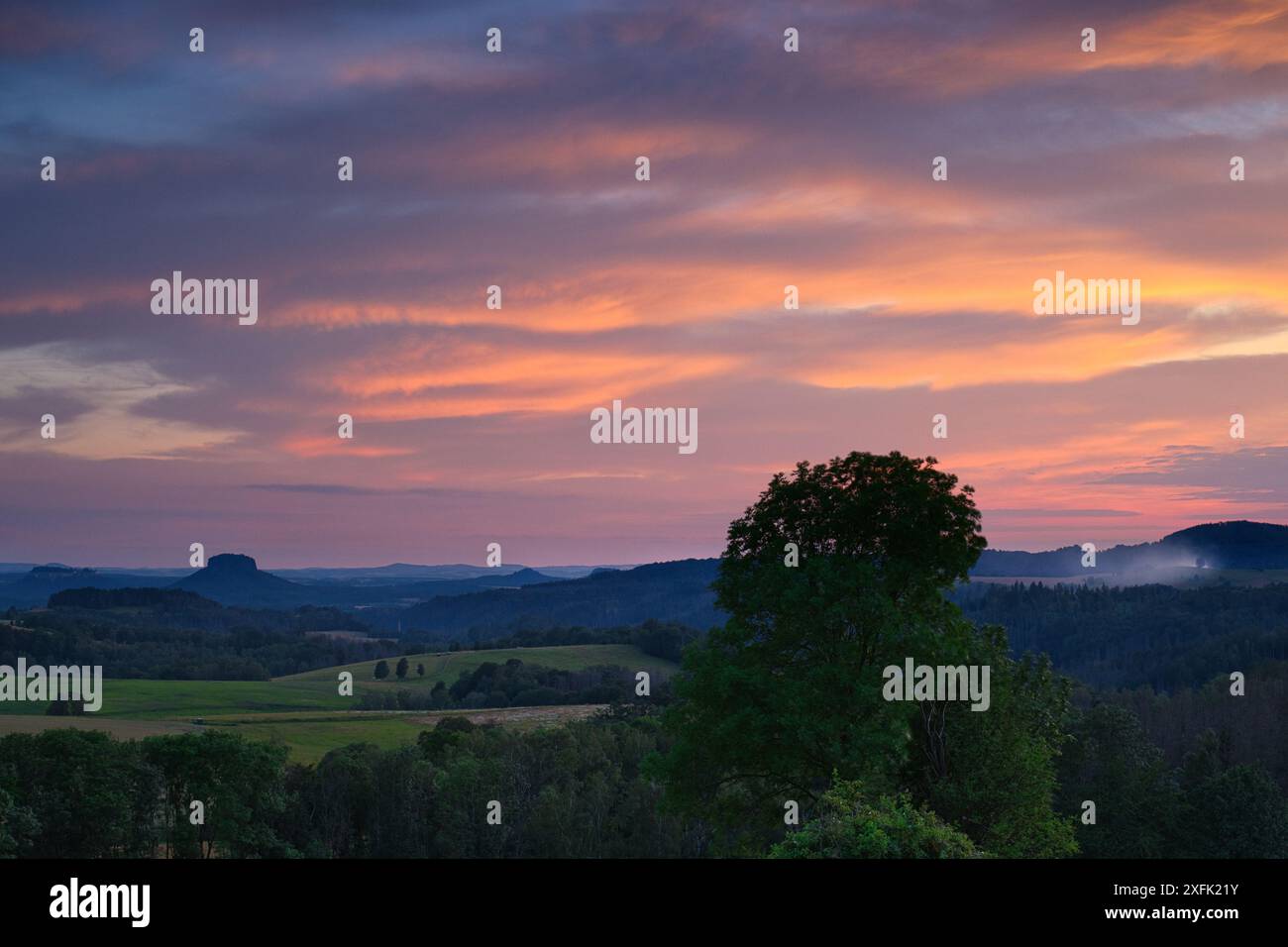 Wunderschöner Sonnenuntergang über sanften Hügeln und Tälern mit Baumsilhouette im Vordergrund in der Dämmerung Stockfoto