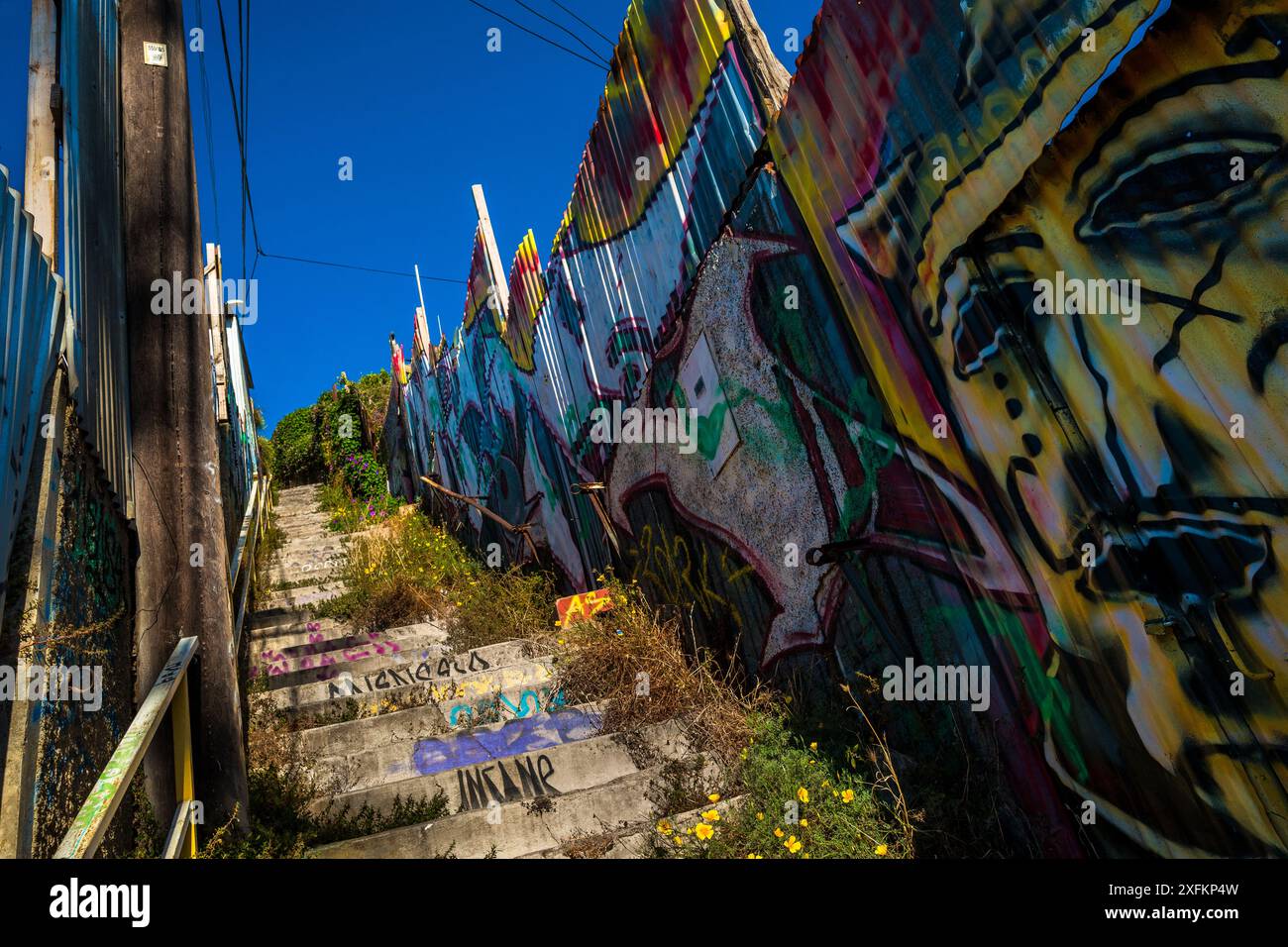 Die Escalera Morchio Treppe, umgeben von Graffiti-Kunstwerken, ist auf dem Hügel Cerro Bellavista in Valparaíso, Chile zu sehen. Stockfoto