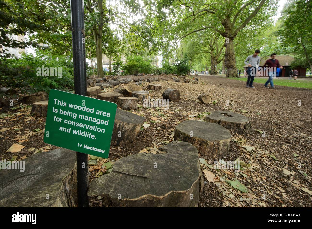 Totes Holz für Insekten und Artenvielfalt im Urban Park, London Fields, Hackney, London, UK Juli Stockfoto