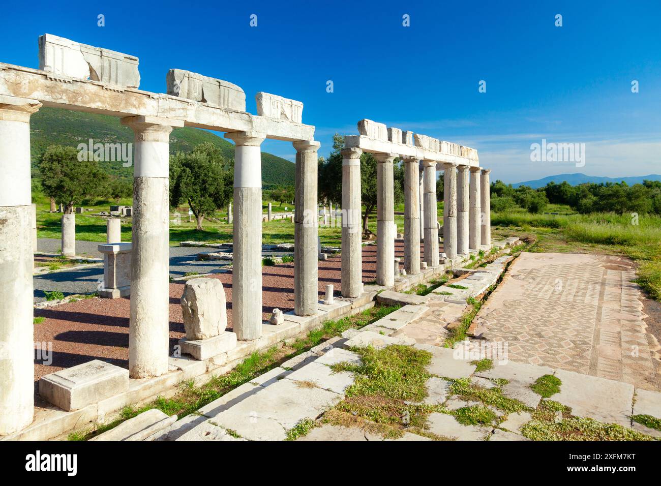 Dorische Säulen im antiken Stadion von Messene (oder Messini), einer antiken griechischen Stadt, die 369 v. Chr. umgebaut wurde. Die bedeutenden Ruinen sind eine große Attraktion. Stockfoto