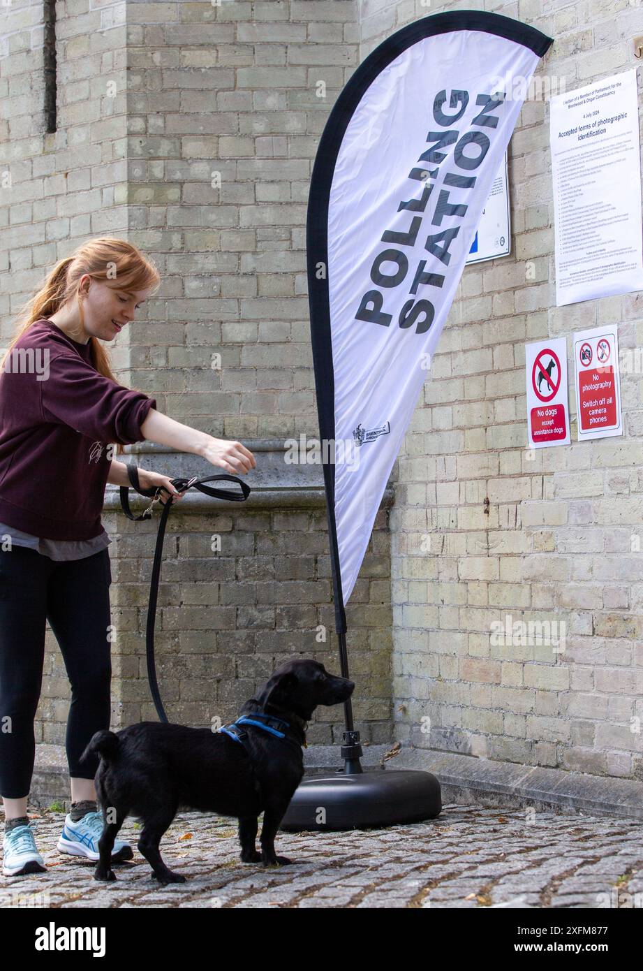 Brentwood Essex, Großbritannien. Juli 2024. Hunde vor der Polling Station Brentwood Credit: Richard Lincoln/Alamy Live News Stockfoto