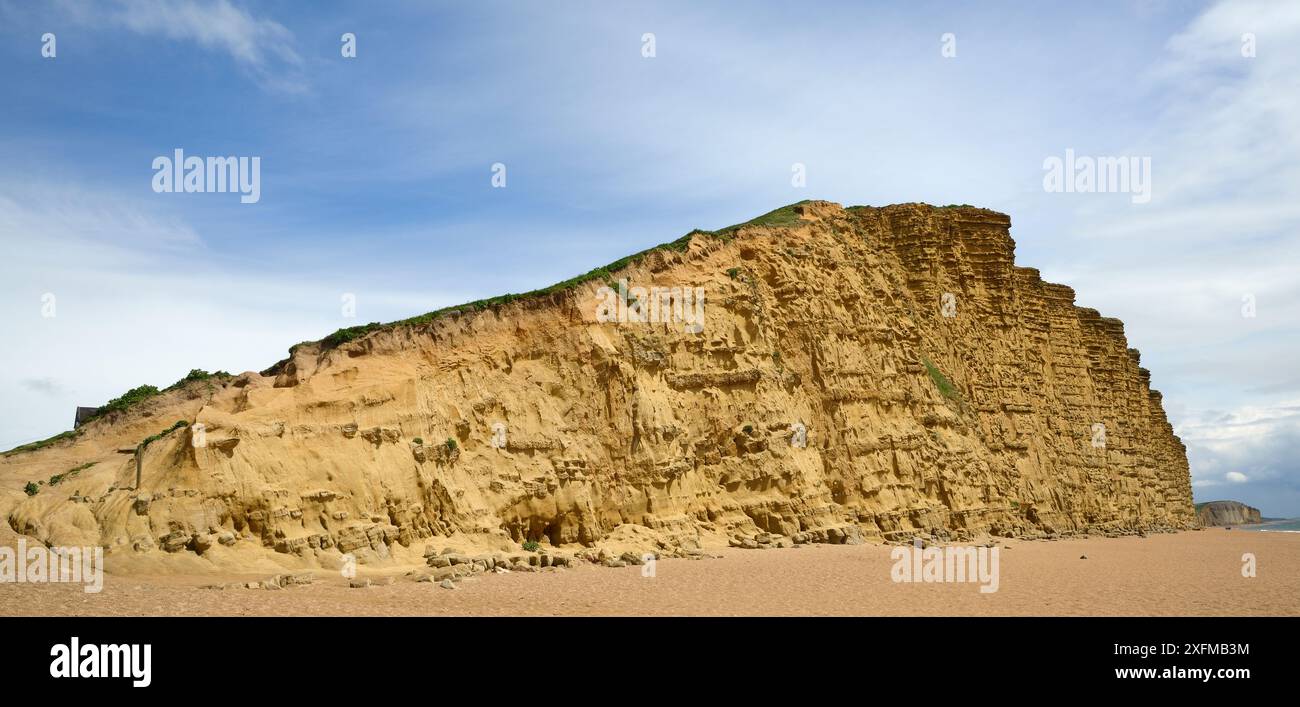Sandsteinklippen an der West Bay, Jurassic Coast, UNESCO-Weltkulturerbe, Bridport, Dorset, Großbritannien, Mai. Stockfoto