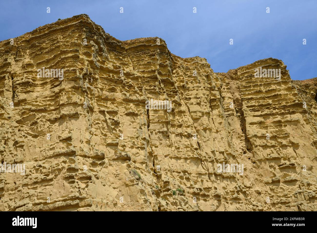 Sandsteinklippen an der West Bay, Jurassic Coast, UNESCO-Weltkulturerbe, Bridport, Dorset, Großbritannien, Mai. Stockfoto