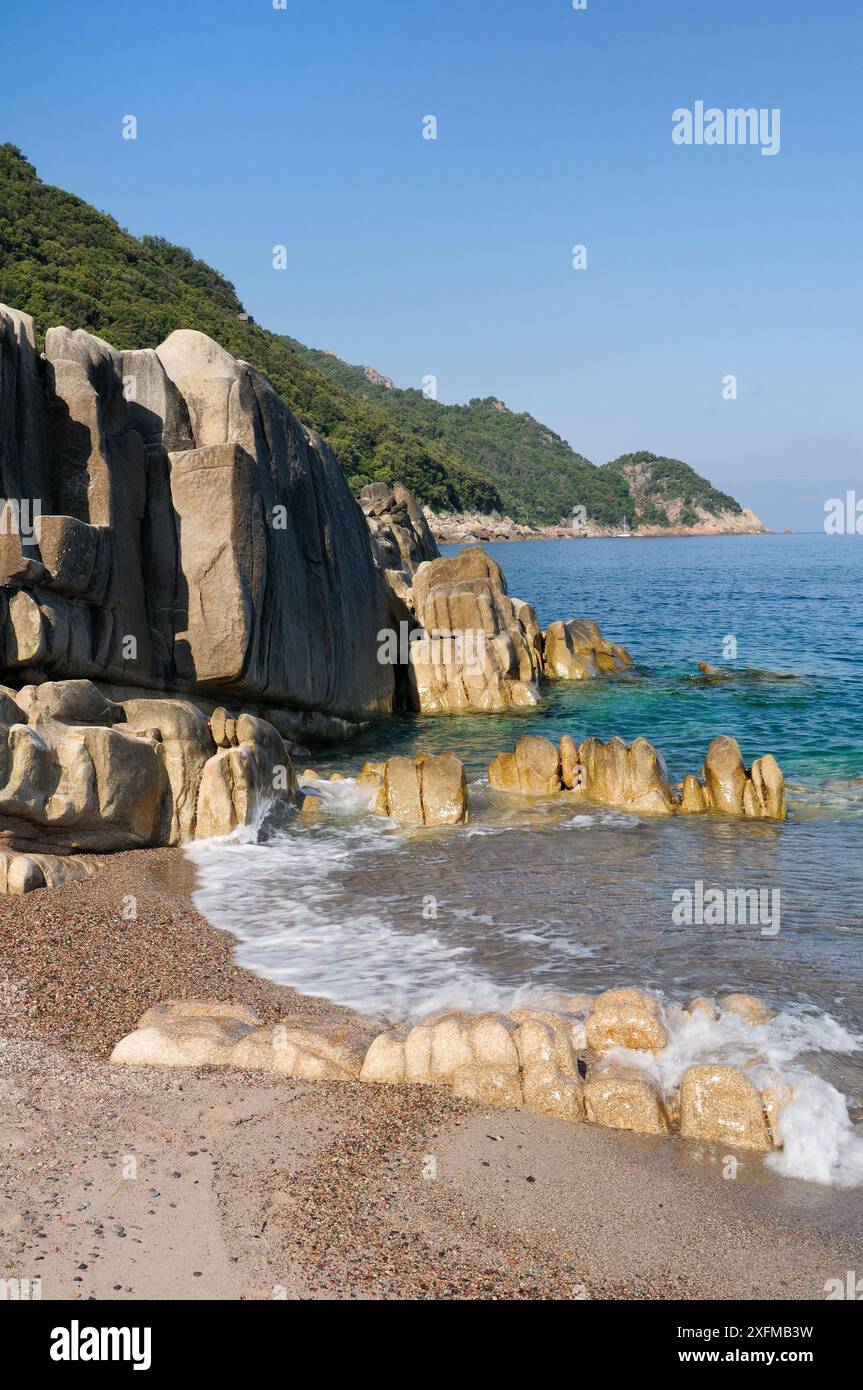 Granitfelsen, von Wellen gewaschen, mit mediterranem Wald und Macchia-Gestrüpp auf der Landzunge dahinter, innerhalb eines UNESCO-Weltnaturerbes und Korsikas Nationalpark (Parc Naturel Regional de Corse), Golf von Porto, Korsika, Frankreich, Mai 2010. Stockfoto