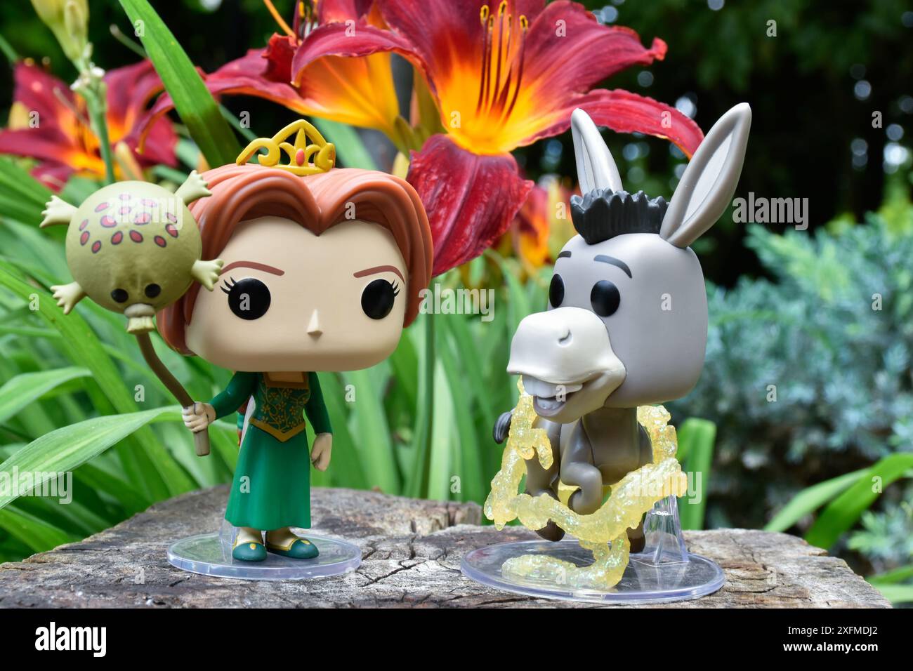 Funko Pop Actionfiguren von Prinzessin Fiona und Esel aus dem beliebten Zeichentrickfilm Shrek. Märchenwald, Baumstumpf, orange Blumen, fabelhafte Charaktere. Stockfoto