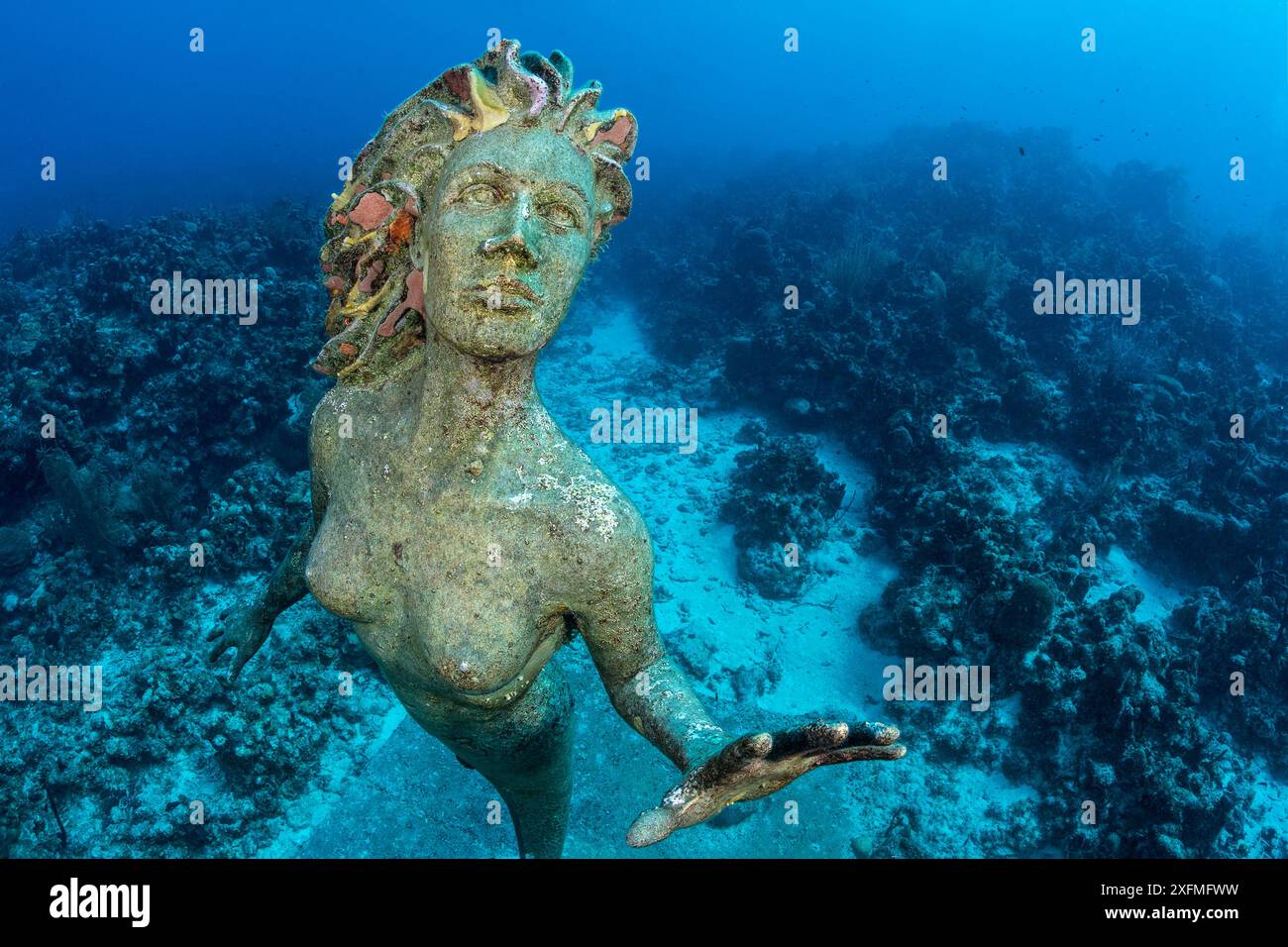 Statue einer Meerjungfrau „Amphitrit“, unter Wasser auf einem Korallenriff als Attraktion für Taucher platziert. George Town, Grand Cayman, Cayman Islands, British West Indies. Karibik. Stockfoto
