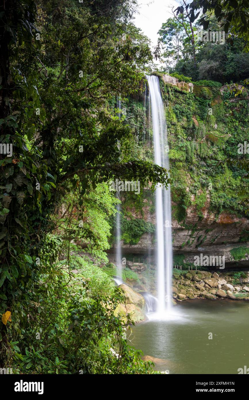 Wasserfall Misol-ha, Ejido San Miguel, Gemeinde Salto de Agua, Chiapas. Mexiko, März 2017. Stockfoto