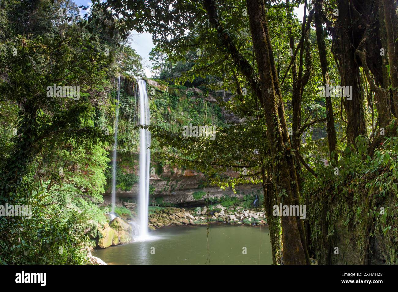 Wasserfall Misol-ha, Ejido San Miguel, Gemeinde Salto de Agua, Chiapas. Mexiko, März 2017. Stockfoto