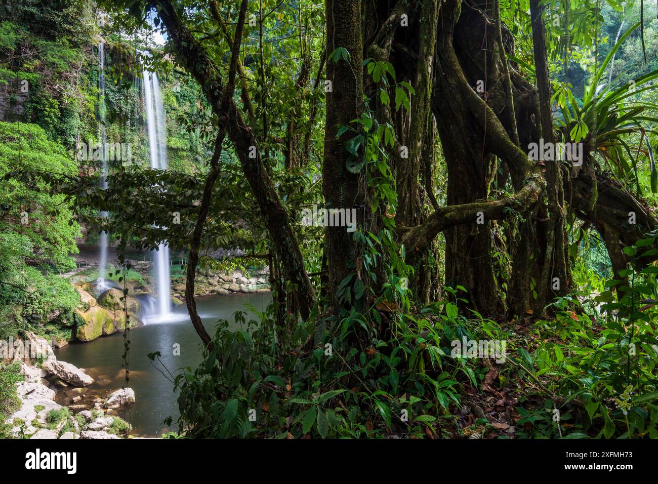 Wasserfall Misol-ha, Ejido San Miguel, Gemeinde Salto de Agua, Chiapas. Mexiko, März 2017. Stockfoto