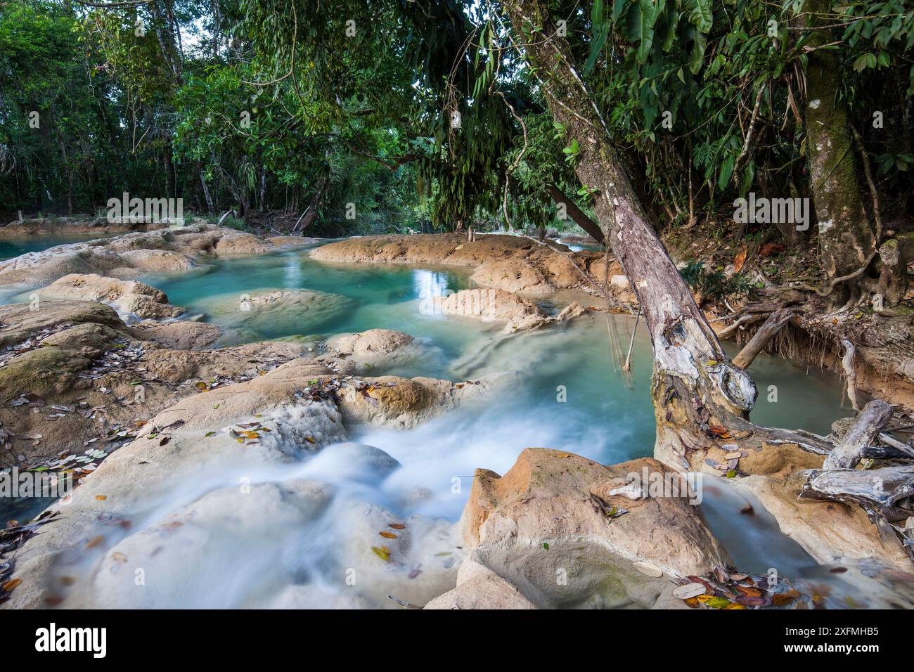 Otulun River. Agua Azul Wasserfälle Naturschutzgebiet. Chiapas. Mexiko Stockfoto