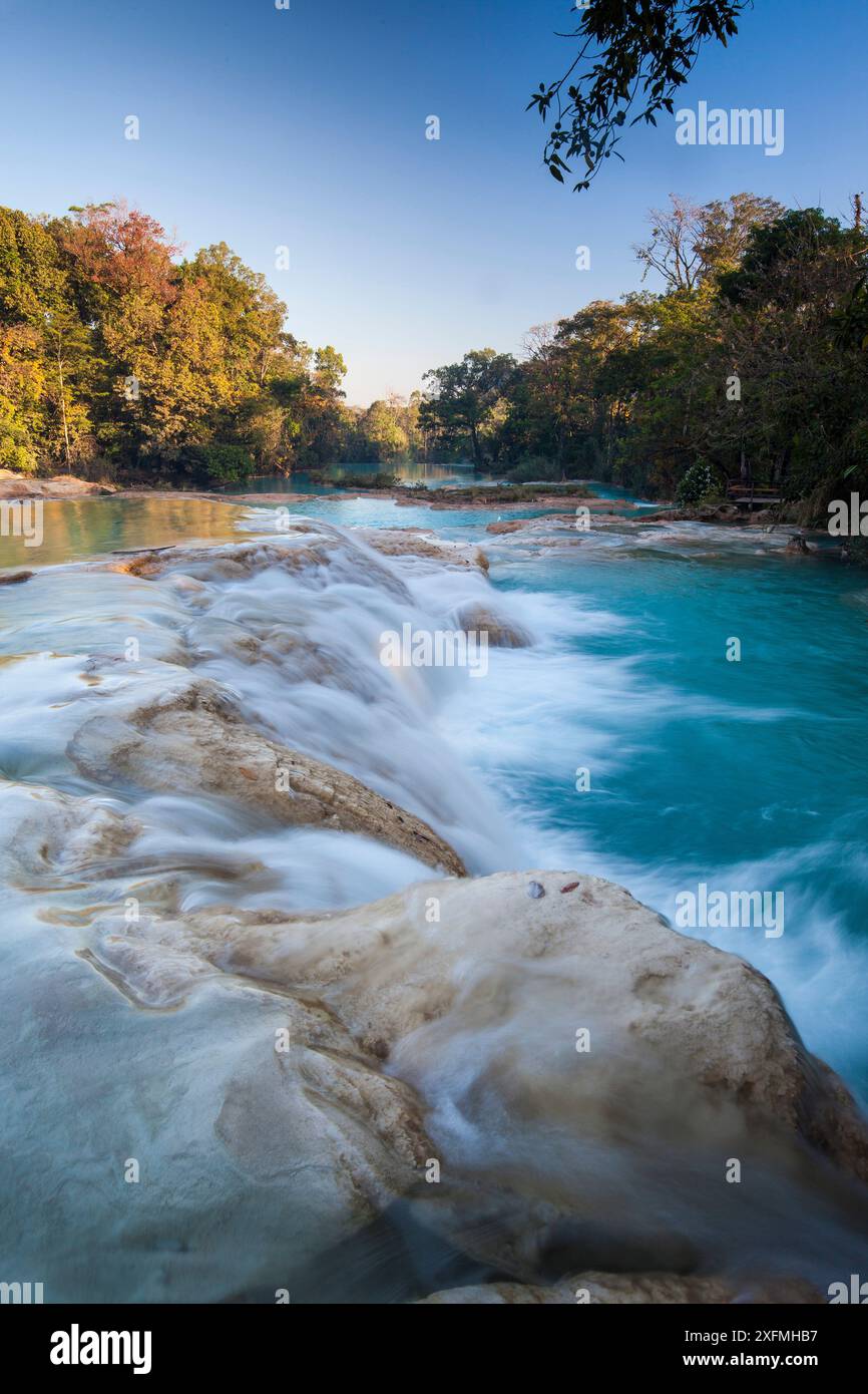 Otulun River. Agua Azul Wasserfälle Naturschutzgebiet. Chiapas. Mexiko Stockfoto