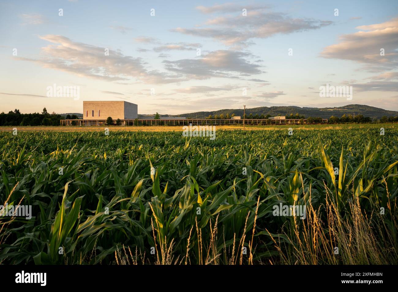 Das Krzysztof Penderecki European Centre for Music Concert Hall in Lusławice verbindet minimalistisches Design harmonisch mit der ländlichen Landschaft Stockfoto Das Krzysztof Penderecki European Centre for Music Concert Hall in Lusławice verbindet minimalistisches Design harmonisch mit der ländlichen Landschaft Stockfoto